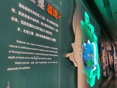 -中国湿地博物馆