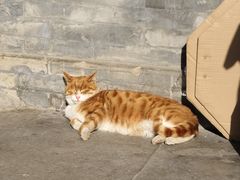 -清真·老兰家(兴善寺西街总店)