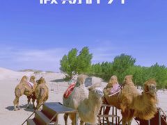 -库伦旗银沙湾旅游景区