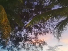 -卫鼎轩·家宴(水上公园店)