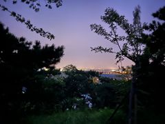 -鬼笑石后山停车场