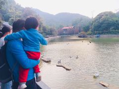 -广州市帽峰山景区