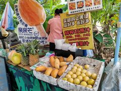 -明仕田园