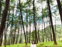 -硗碛藏寨·神木垒景区