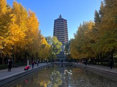 -玲珑塔公园
