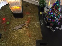 -宝燕海鲜(好爱店)