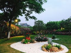 -大关公园