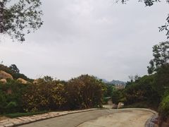 -那琴半岛地质海洋公园