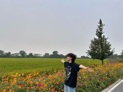 -七的湖·晚芳亭·阳澄湖农家菜·大闸蟹(莲花岛店)