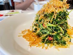 巧拌豆苗-四季民福烤鸭店(王府井灯市口店)