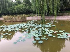 -丰台科技园生态主题公园
