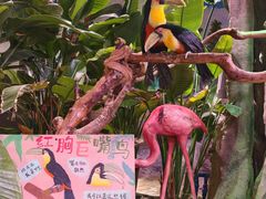 -正佳雨林生态植物园