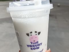 -一只酸奶牛(八一路店)