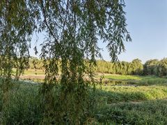 -东坝千亩湖公园