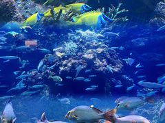 -海合安青岛极地海洋公园