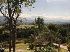 -黄色小屋