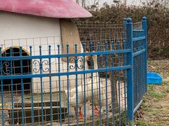 -上海滴水湖皇冠假日酒店