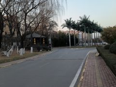 -长安先导国际创新人才交流中心