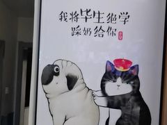 -康爱犬猫诊所·牙专科·骨外科·影像内科(丰宁店)