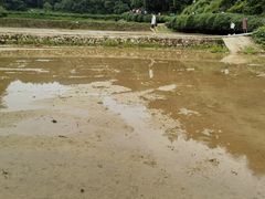 -韶山毛泽东同志故居