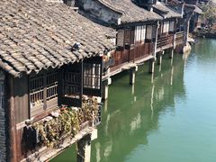 -乌镇西栅景区