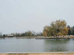 -西海子公园