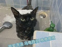 -瑞派申生动物医院·24H夜诊·国际动物医疗中心·骨外科(吴中路店)