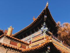 -大召无量寺
