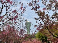 -狐尾山公园