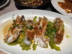 -滋粥楼·顺德菜(番禺广场总店)