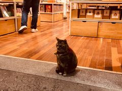 -猫的天空之城概念书店(杭州南宋御街店)