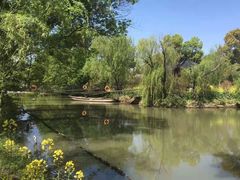 -南汇桃花村