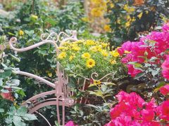 -人民公园(罗湖区)