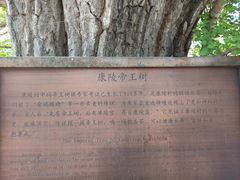 -康陵正德春饼宴26号