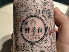 -野萃山·潮汕厚果汁(十亩地店)