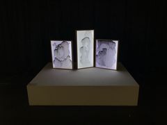 -上海市普陀区文化馆