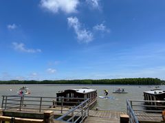 -上海海湾国家森林公园