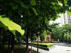-木塔寺遗址生态公园