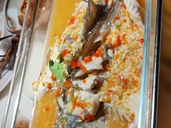 -佬肥猫(国华广场店)