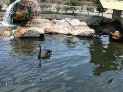 -八景休閒山莊  廣東十大名山莊