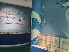 -烟台海昌鲸鲨海洋公园
