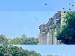-音乐台