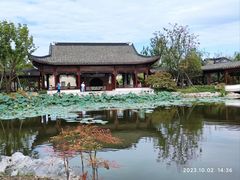 -上海滨江森林公园