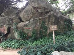 -宋井风景区
