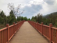 -泸沽湖国家级风景名胜区走婚桥