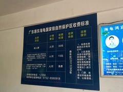-广东惠东海龟国家级自然保护区