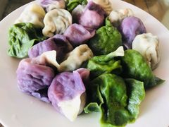 五彩饺子-宝源饺子(麦子店街店)