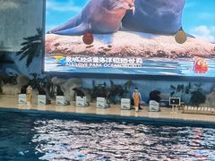 -泉城欧乐堡海洋极地世界