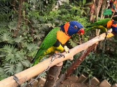 -南宫五洲植物乐园