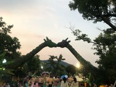 -苏州乐园森林水世界